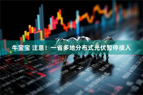 牛宝宝 注意！一省多地分布式光伏暂停接入