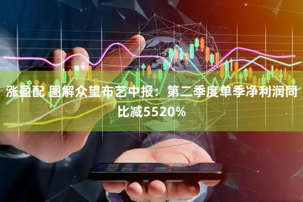 涨盈配 图解众望布艺中报：第二季度单季净利润同比减5520%
