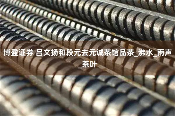 博盈证券 吕文扬和段元去元诚茶馆品茶_沸水_雨声_茶叶