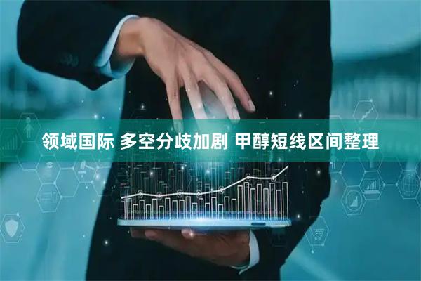 领域国际 多空分歧加剧 甲醇短线区间整理