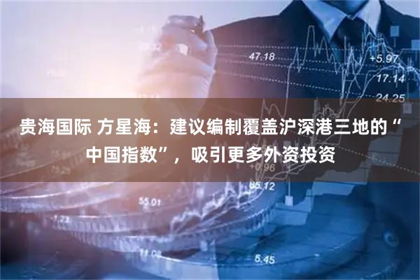 贵海国际 方星海：建议编制覆盖沪深港三地的“中国指数”，吸引更多外资投资
