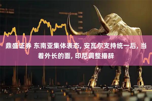鼎盛证券 东南亚集体表态, 安瓦尔支持统一后, 当着外长的面, 印尼调整措辞